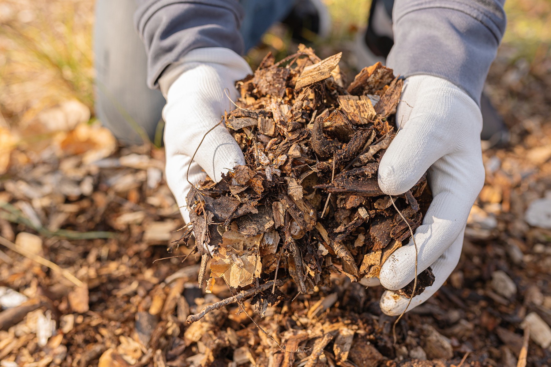 Compost
